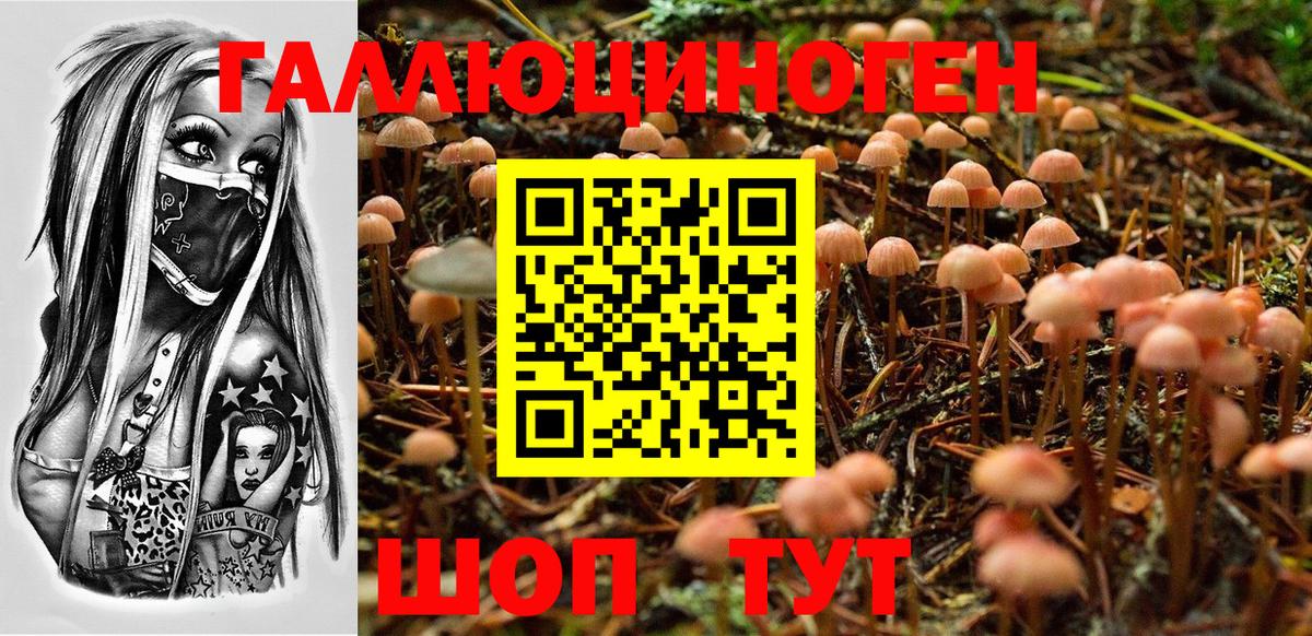 Псилоцибиновые грибы ЛСД Новокубанск
