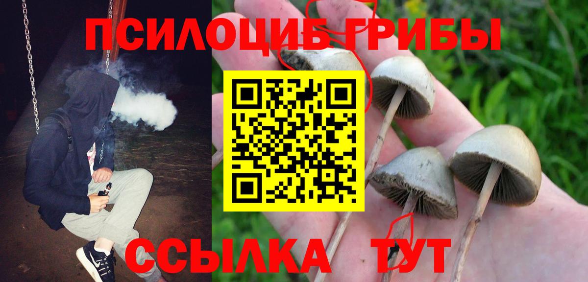 как найти   Вход с VPN  Новокубанск  Галлюциногенные грибы прущие грибы  Псилоцибиновые грибы Magic Shrooms 