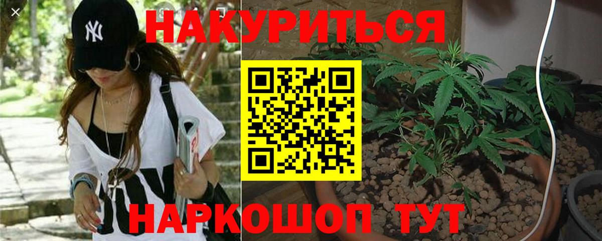 МАРИХУАНА тримм  Бошки Шишки White Widow  Вход с VPN  Новокубанск  Каннабис ГИДРОПОН  Конопля Bruce Banner 
